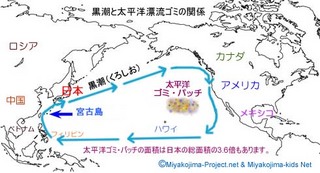 pacificgomipatch492.jpg