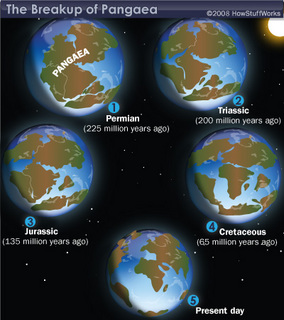 pangaea-breakup.jpg