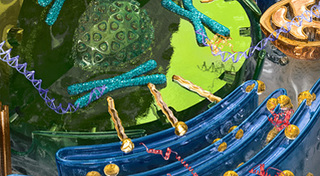 systems_biology.jpg